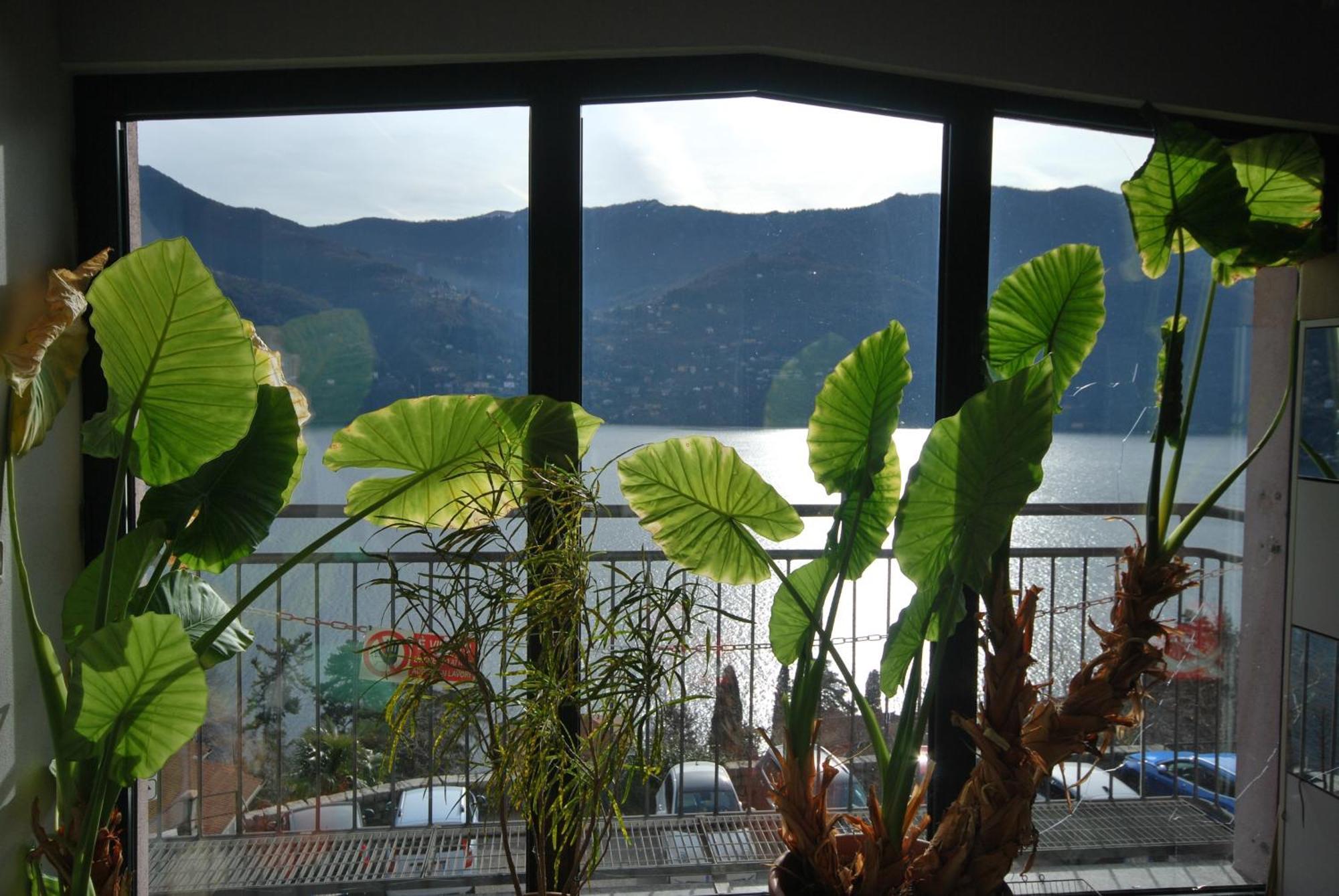Andrea Olga House Laglio Exterior foto
